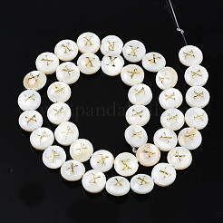 Natural Freshwater Shell Beads&nbsp;SHEL-S276-168X