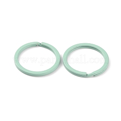 Spray-painted Iron Keychains Clasps&nbsp;IFIN-WH0063-13L