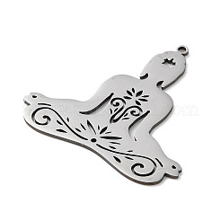 Non-Tarnish 201 Stainless Steel Pendants&nbsp;STAS-D041-10P