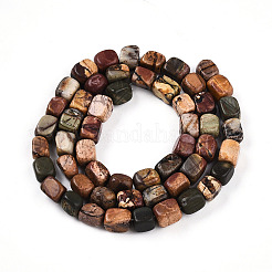 Natural Picasso Jasper/Polychrome Jasper Beads Strands&nbsp;G-N346-04A-05