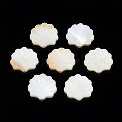 Natural Freshwater Shell Beads&nbsp;SHEL-T007-02