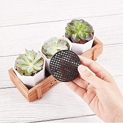 DIY Bonsai Kit&nbsp;DIY-GA0001-10