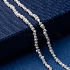 Natural Cultured Freshwater Pearl Beads Strands&nbsp;PEAR-G007-42-01
