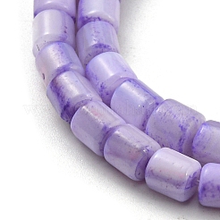 Natural Freshwater Shell Beads Strands&nbsp;SHEL-F008-04C
