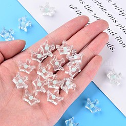 Transparent Acrylic Beads&nbsp;MACR-S373-105-B03