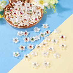 80Pcs Plastic Cabochons&nbsp;KY-TADJ0001-10