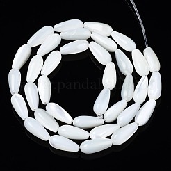 Natural Trochid Shell/Trochus Shell Beads Strands&nbsp;X-SSHEL-N034-95B-B01