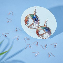 316 Surgical Stainless Steel Earring Hooks&nbsp;STAS-P220-13RG