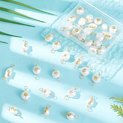 36Pcs 3 Styles Grade AA Natural Cultured Freshwater Pearl Connector Charms with Golden Tone Alloy Slices&nbsp;FIND-BC0004-55