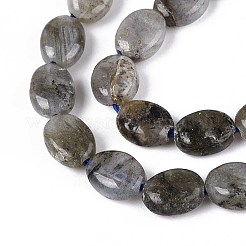 Natural Labradorite Beads Strands&nbsp;G-T142-19