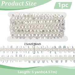 5 Yards Paillette with Glass Seed Bead Ribbons&nbsp;OCOR-BC0007-67B