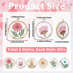 12Pcs 6 Styles Transparent Clear Epoxy Resin Pendants&nbsp;RESI-SC0036-60A