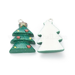 Resin Pendants&nbsp;RESI-O010-12