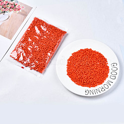 6/0 Glass Seed Beads&nbsp;SEED-S058-A-F264