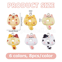 48Pcs 6 Colors Resin Pendants&nbsp;CRES-DC0001-11