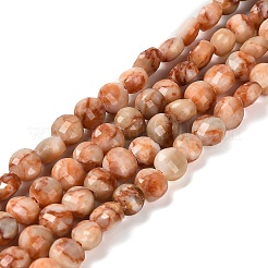 Natural Red Netstone Beads Strands&nbsp;G-C179-A6mm-25