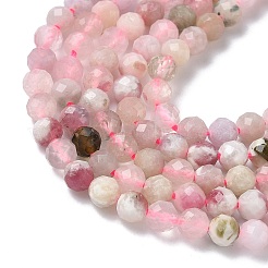 Natural Beads&nbsp;G-L651-C06-4mm