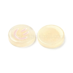 Resin Decoden Cabochons&nbsp;RESI-M040-04B