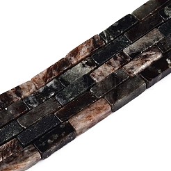 Natural Biotite Beads Strands&nbsp;G-T141-103