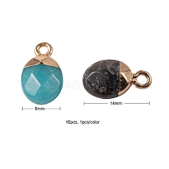 10Pcs 10 Style Natural Gemstone Charms&nbsp;G-LS0002-15