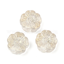 Transparent Glass Beads&nbsp;DGLA-E004-01A