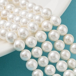Shell Pearl Bead Strands&nbsp;BSHE-L026-03-6mm