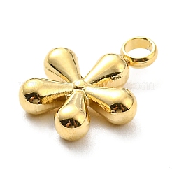 304 Stainless Steel Pendants&nbsp;STAS-B044-06G