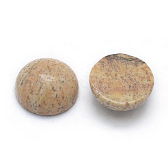 Natural Picture Jasper Cabochons&nbsp;G-P393-R51-10mm