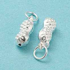 925 Sterling Silver Pendants&nbsp;STER-B002-10S