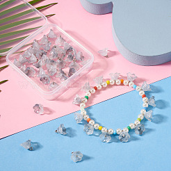 38Pcs Glass Charms&nbsp;GLAA-TADJ0001-19D