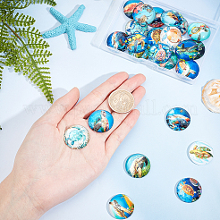 Glass Cabochons&nbsp;GGLA-SC0001-57