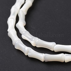 Natural Trochus Shell Beads Strands&nbsp;SSHEL-H070-04