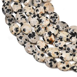 Natural Dalmatian Jasper Beads Strands&nbsp;G-H349-A01-02
