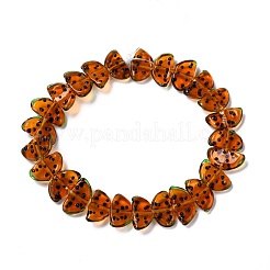 Handmade Lampwork Beads Strands&nbsp;LAMP-I022-29E