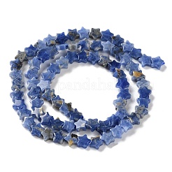 Natural Sodalite Beads Strands&nbsp;G-G085-B46-02