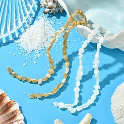 2 Strands 2 Colors Natural Shell Beads Strands&nbsp;SHEL-CJ0001-35