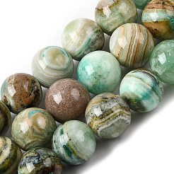Natural Green Line Jasper  Beads Strands&nbsp;G-L639-A01-6mm