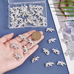 40Pcs Tibetan Style Alloy Pendants&nbsp;TIBE-PH0002-50