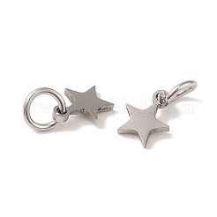 Non-Tarnish 201 Stainless Steel Charms&nbsp;STAS-E217-25A-P
