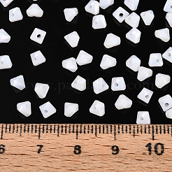 Baking Paint Glass Seed Beads&nbsp;SEED-N007-30L