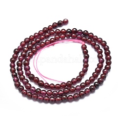 Natural Garnet Beads Strands&nbsp;G-K305-08-A