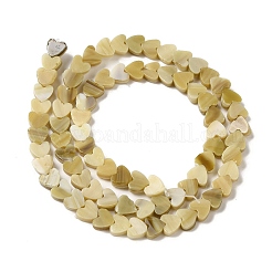 Handmade Lampwork Beads Strands&nbsp;LAMP-Q035-01M