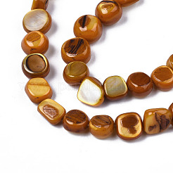 Natural Trochid Shell/Trochus Shell Beads Strands&nbsp;SHEL-S258-083-B09