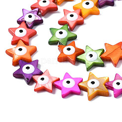 Natural Freshwater Shell Beads Strands&nbsp;SHEL-S278-016