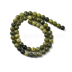 Natural Canada Jade Beads Strands&nbsp;G-NH0029-02C