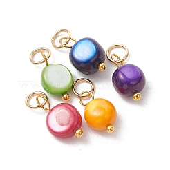 Dyed Natural Shell Pendants&nbsp;PALLOY-JF05269-01