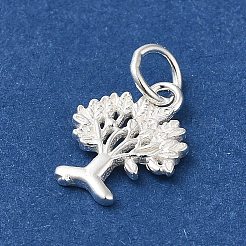 925 Sterling Silver Charms&nbsp;STER-NH0001-34S