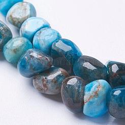 Natural Apatite Beads Strands&nbsp;G-F506-12