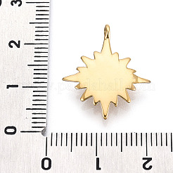 316 Surgical Stainless Steel Pendants&nbsp;STAS-I164-029G