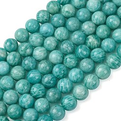 Natural Amazonite Beads Strands&nbsp;G-G453-A02-10mm